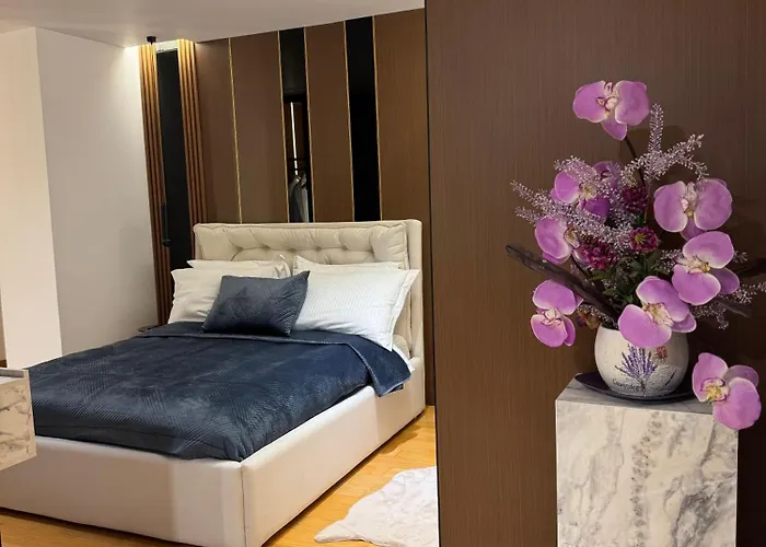 Stayinn Emerald Шкодер